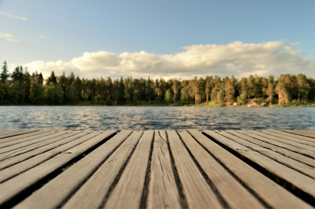 Gør din sommer lidt vildere: Sjove naturoplevelser for alle aldre